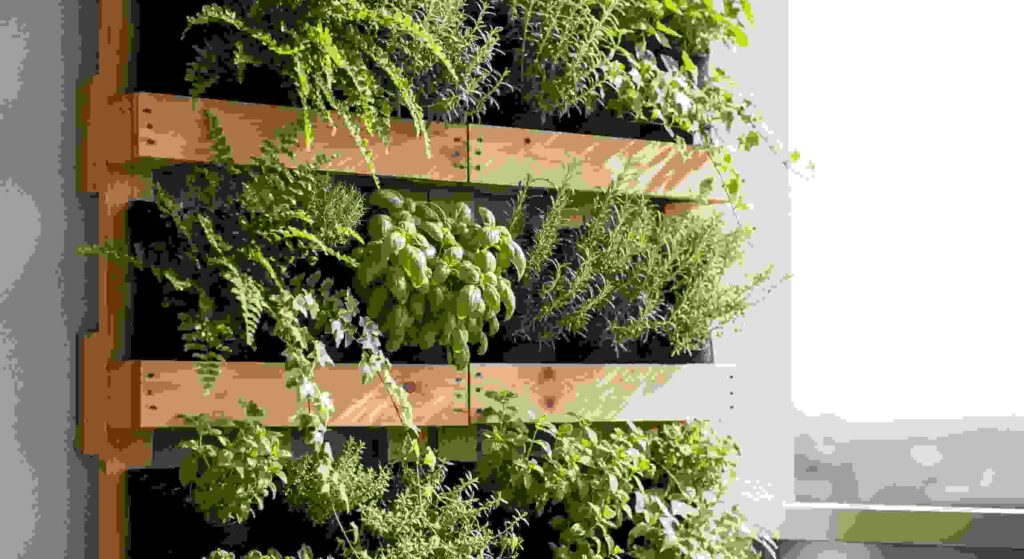 Pinterest Planting Ideas