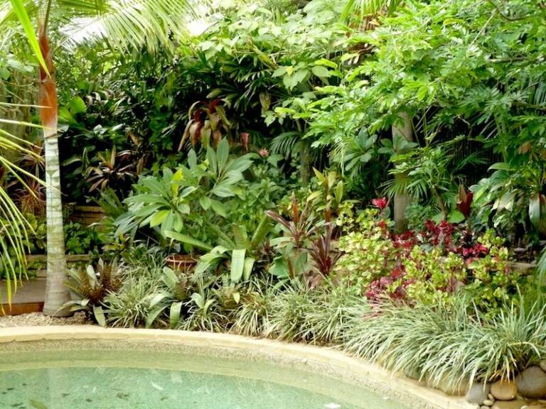Tropical Garden in Temperate Climates
