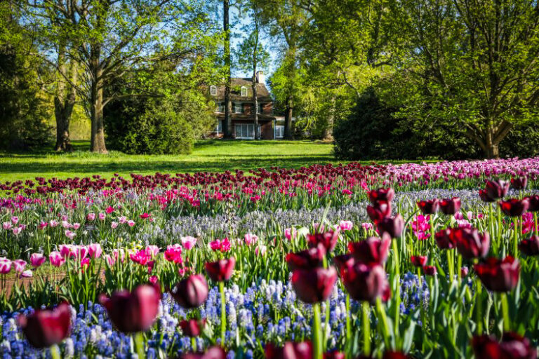 Best American gardens for weekend getaways