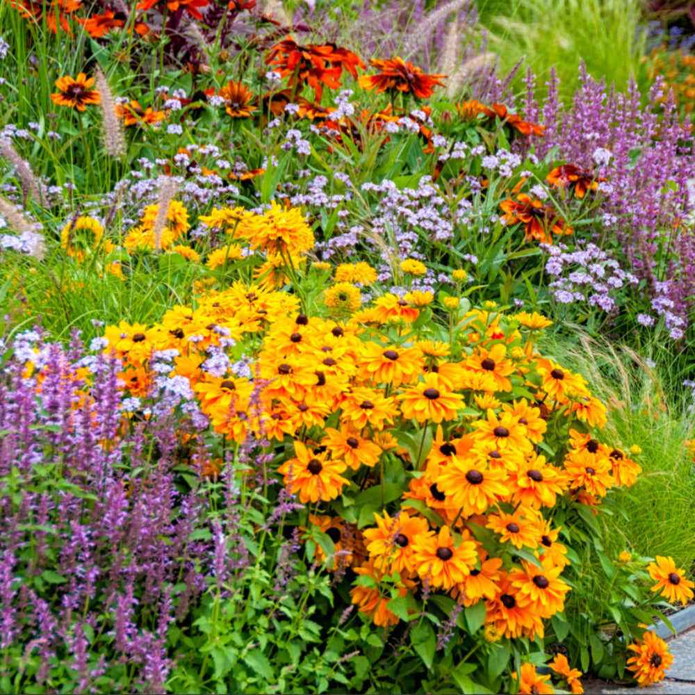 Eco-Friendly Garden Ideas