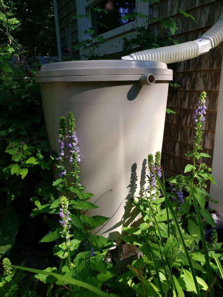 Eco-Friendly Garden Ideas