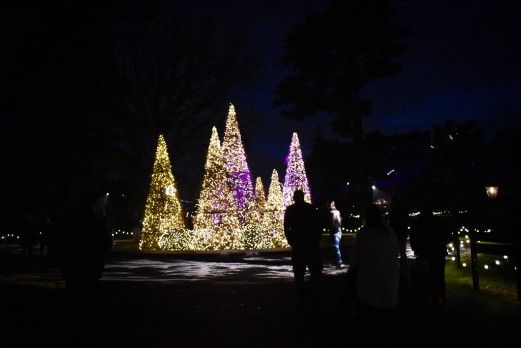 Winter Garden Travel Spots in the US