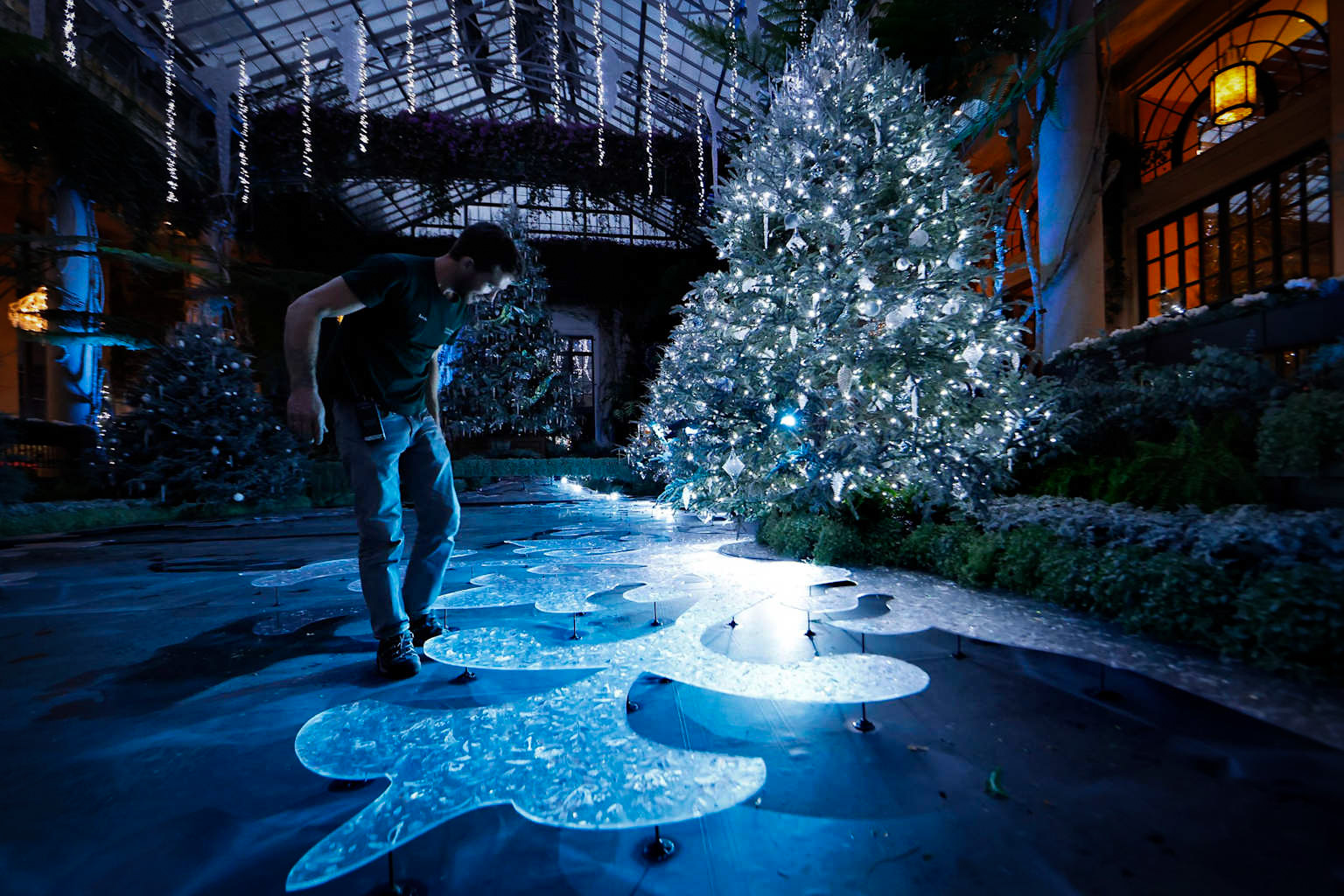 Winter Garden Travel Spots in the US