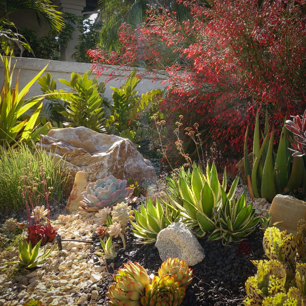 RG Water Conservation 2