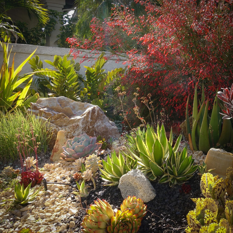 Eco-Friendly Lawn Alternatives That Save Water