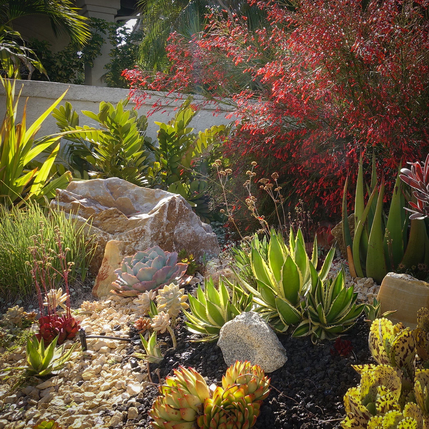 Eco-Friendly Lawn Alternatives That Save Water