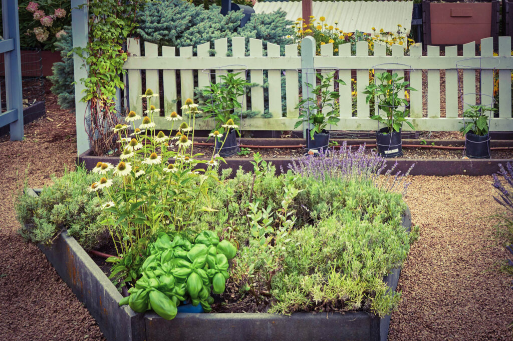 SPR herb garden ideas 7370817 hero 4ec27ed7a3a245d2bdd0f3e4f61a8a86