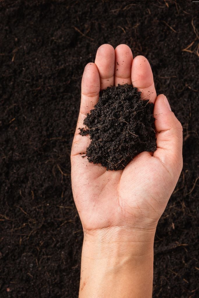 Organic Gardening Mistake for Beginners